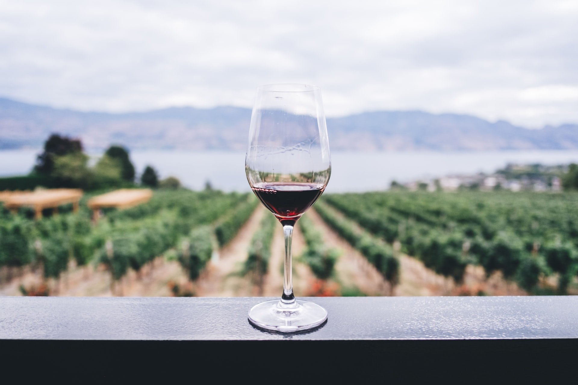 vivino_produktfeed